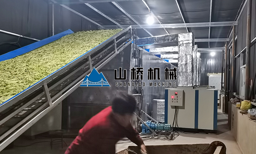 網(wǎng)帶式蘿卜烘干機優(yōu)勢有什么？(圖1)