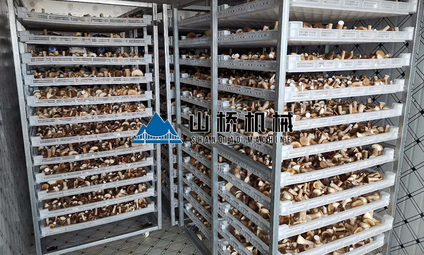 網(wǎng)帶式食用菌烘干機(jī)多少錢一臺？(圖1)