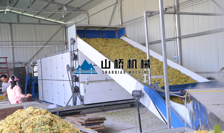 大型金銀花網(wǎng)帶烘干機(jī)
