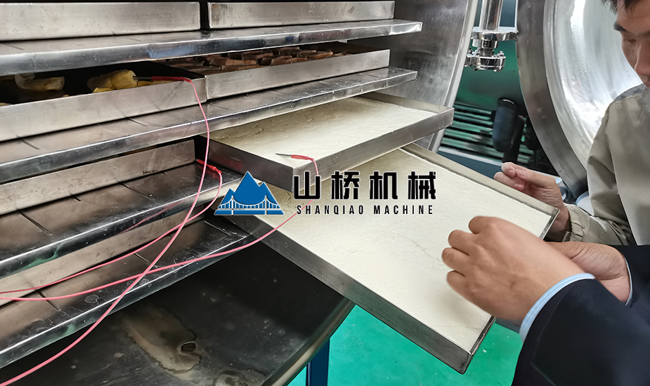牛奶真空冷凍干燥機(圖2)