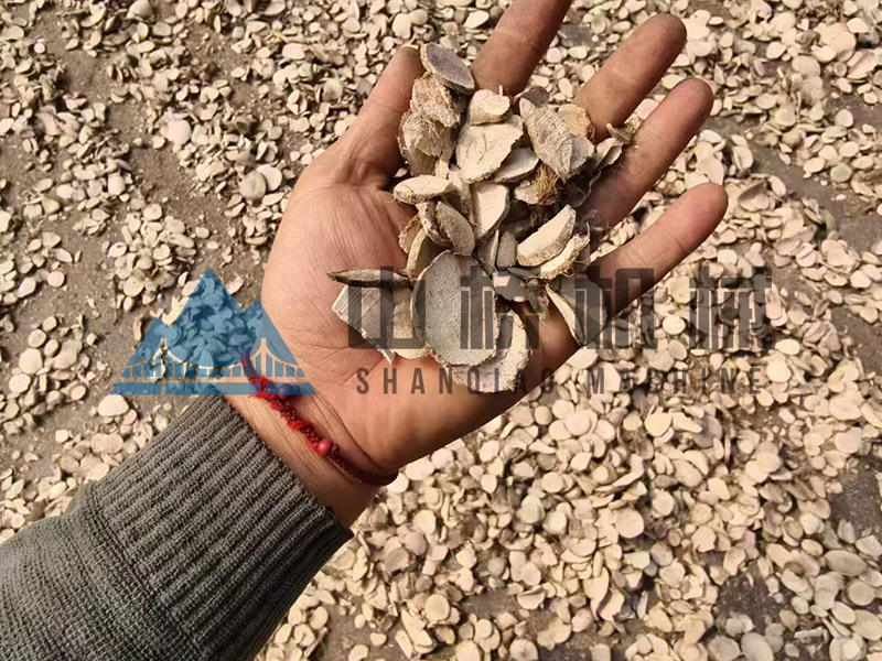什么是中藥材烘干機，用熱泵烘干中藥材有什么好處！(圖1)